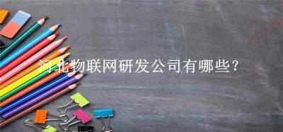 河北物联网研发公司