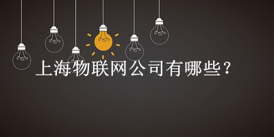 上海物联网公司