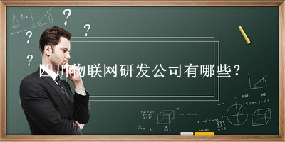 四川物联网研发公司