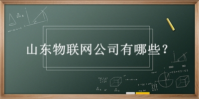 山东物联网公司